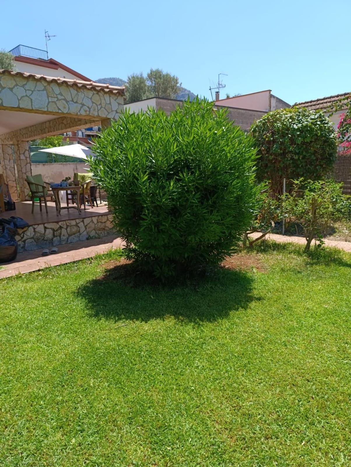 Willa Garden House Mondello Palermo Zewnętrze zdjęcie